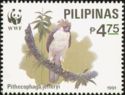 Philippine Eagle (Pithecophaga jefferyi)